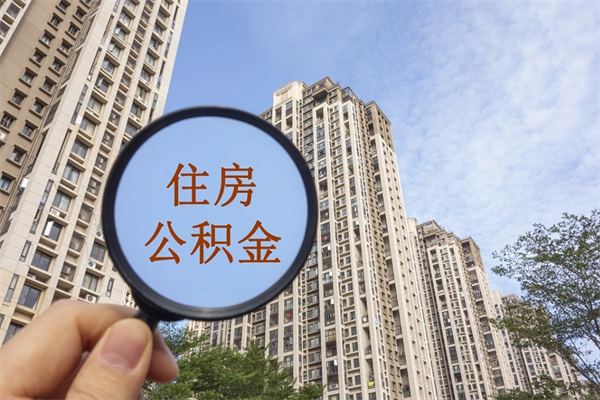 云梦石家庄住房公积金提取（云梦石家庄住房公积金提取额度）